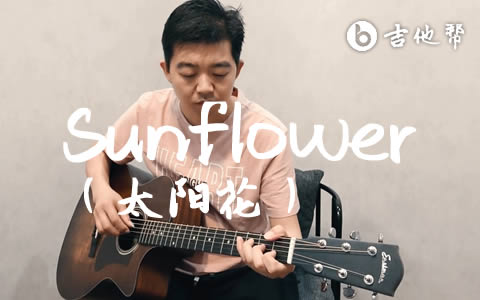 Sunflower（太阳花）吉他指弹