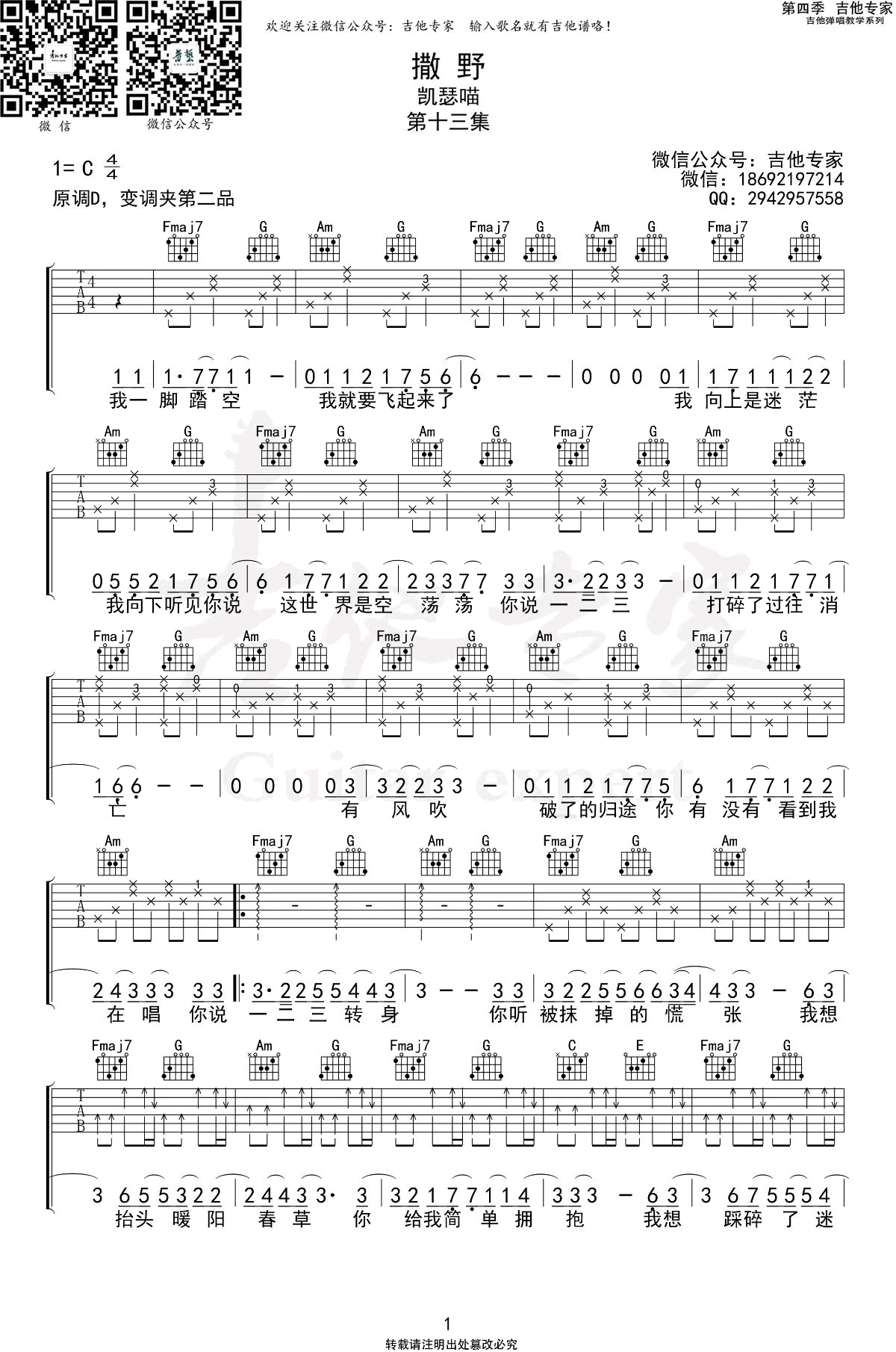 撒野吉他谱凯瑟喵c调弹唱谱巫哲小说撒野主题曲