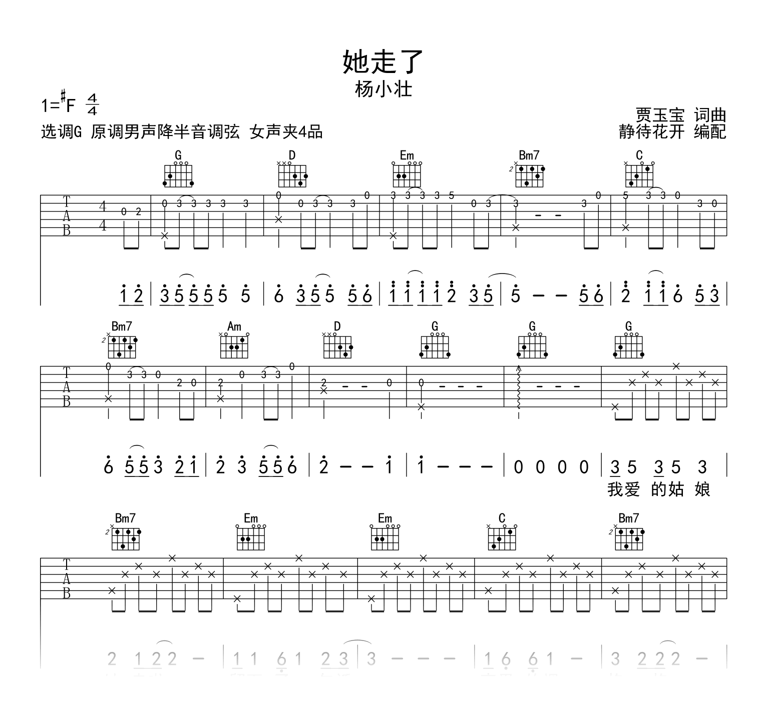 杨小壮《她走了》吉他谱G调-吉他帮