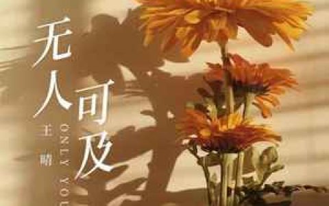 无人可及吉他谱_王晴_C调弹唱六线谱