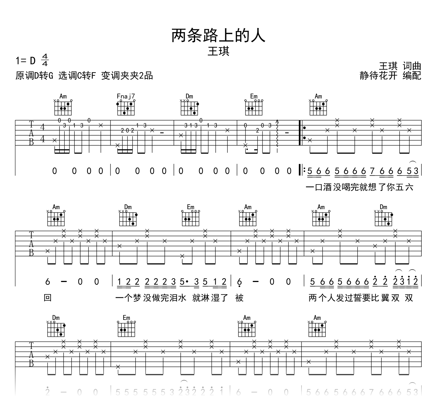 两条路上的人吉他谱-王琪-吉他帮