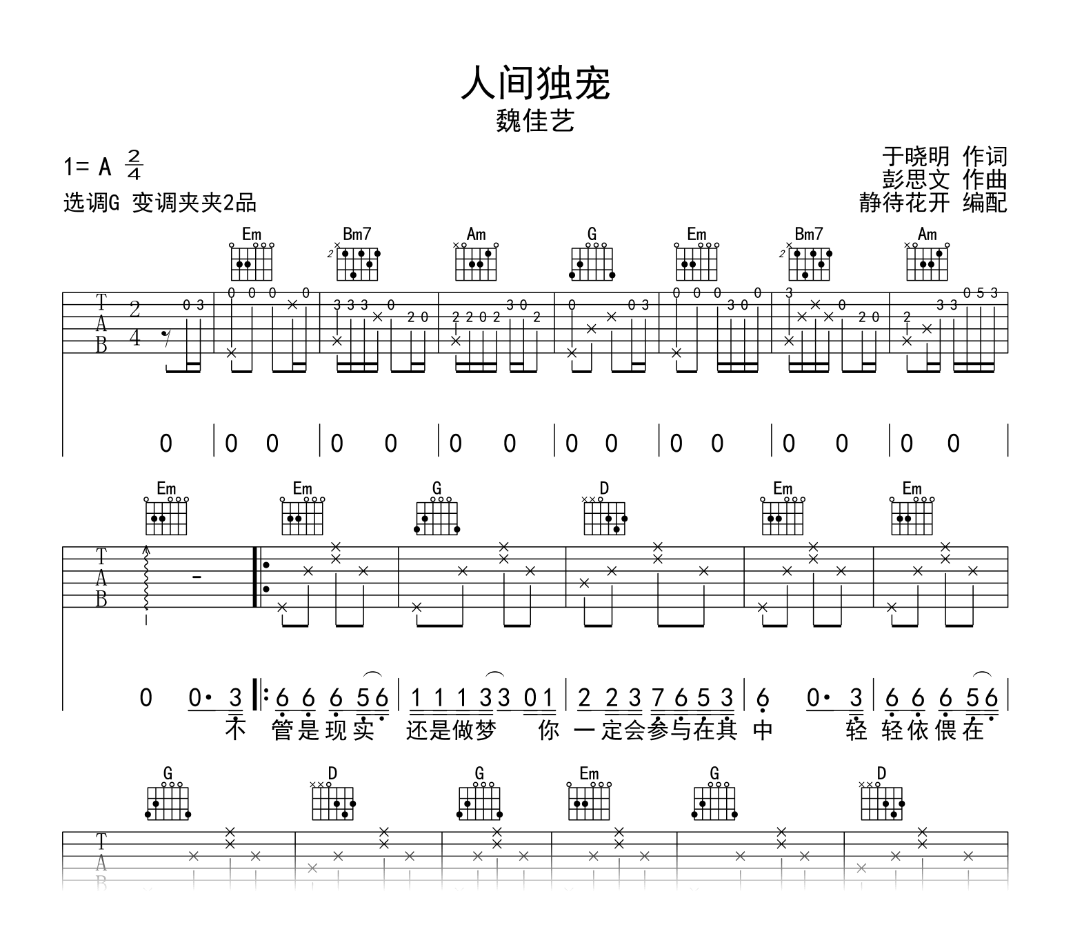 人间独宠吉他谱-魏佳艺-吉他帮