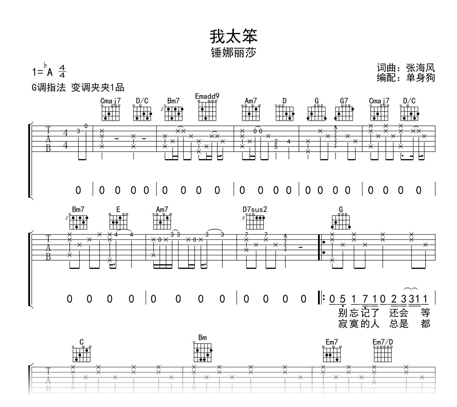 我太笨吉他谱-锤娜丽莎-吉他帮