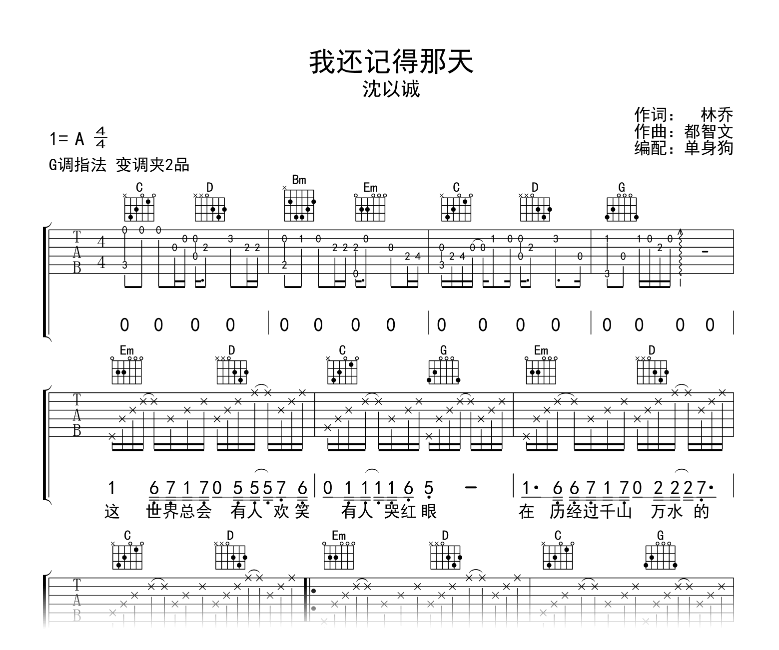 齐秦 - 大约在冬季 [扫弦 弹唱] 吉他谱