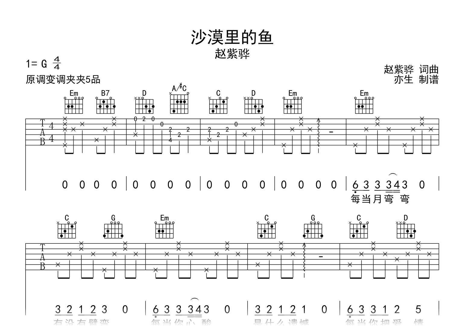 沙漠里的鱼吉他谱-赵紫骅-吉他帮