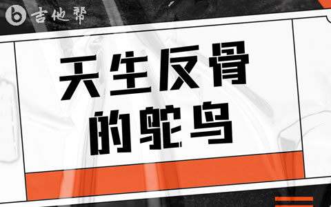 天生反骨的鸵鸟毛毛不插电吉他谱 C调 吉他帮