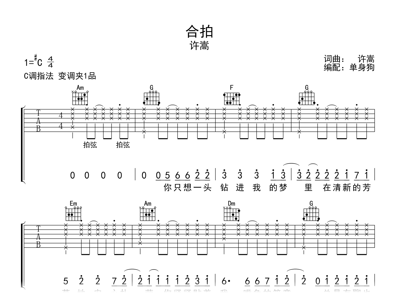 合拍吉他谱-许嵩-C调弹唱谱-吉他帮