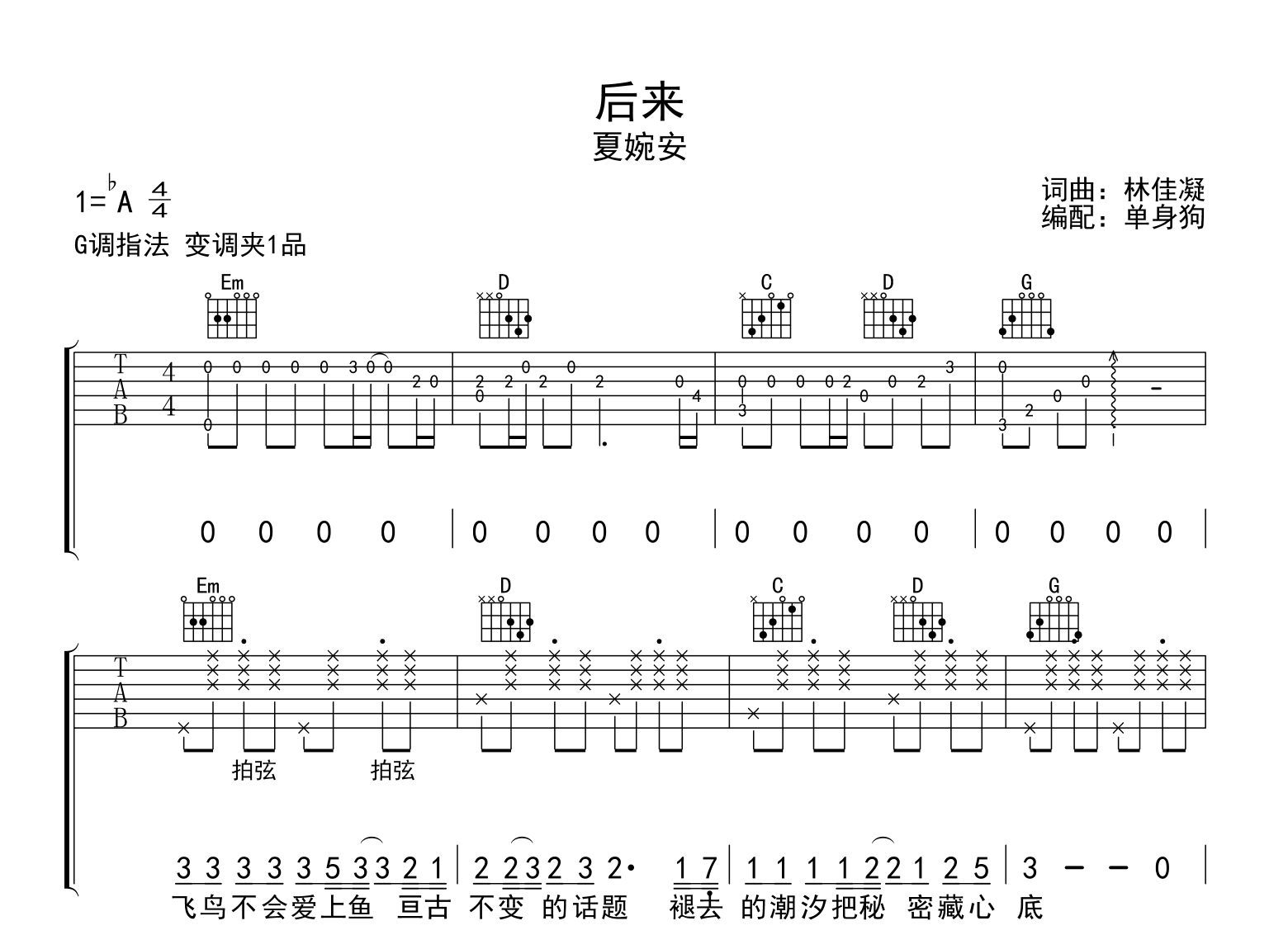 后来吉他谱_刘若英_C调指弹 - 吉他世界