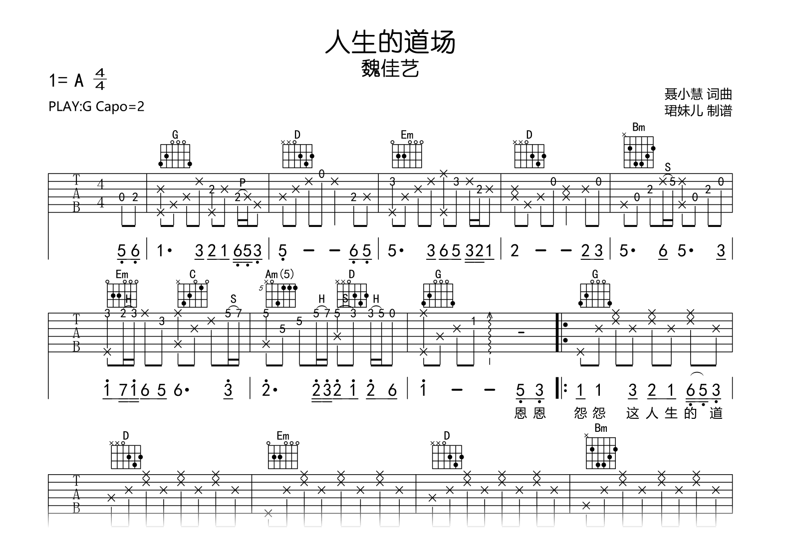 人生的道场吉他谱-魏佳艺-吉他帮