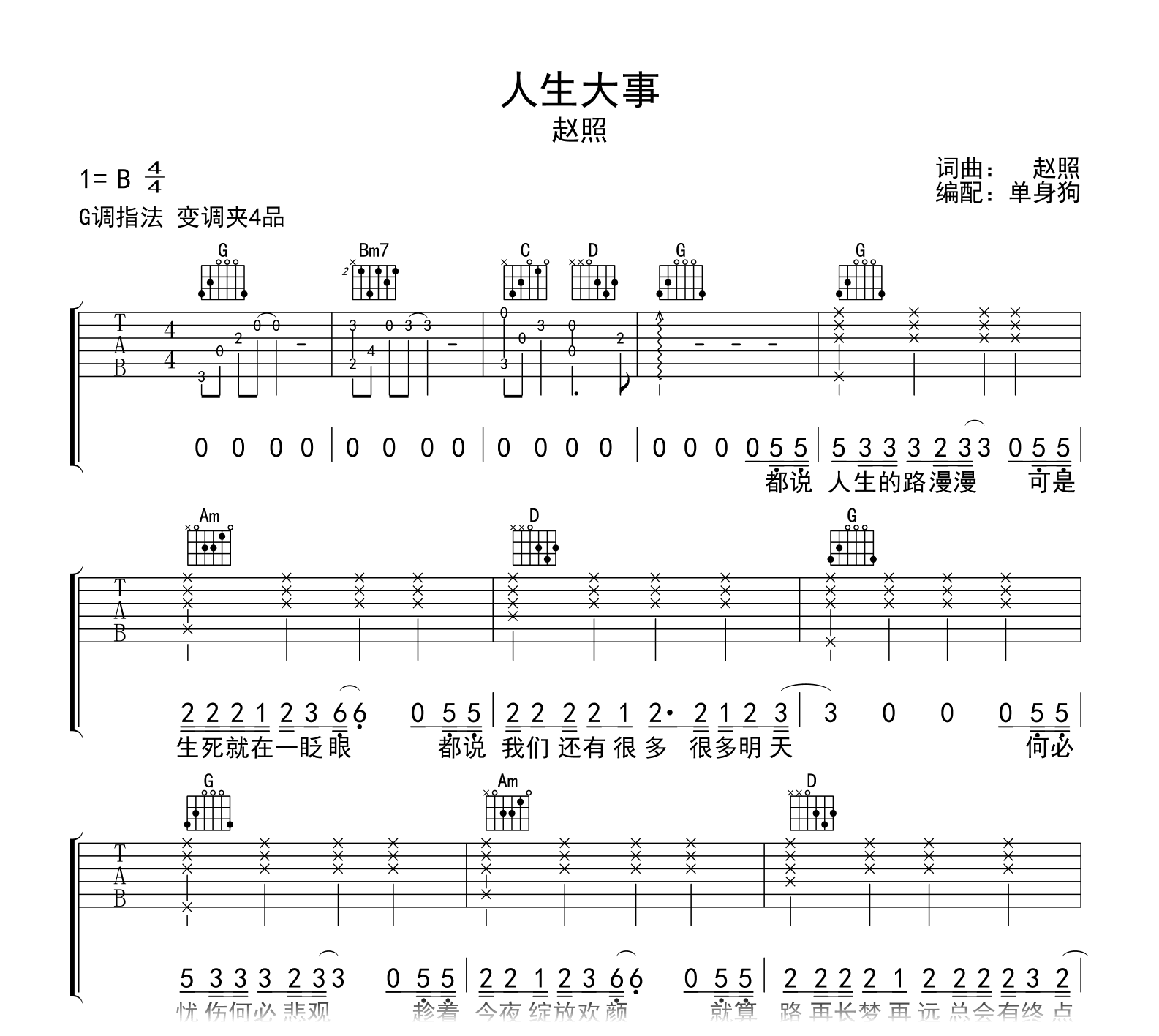 人生大事吉他谱-赵照-吉他帮