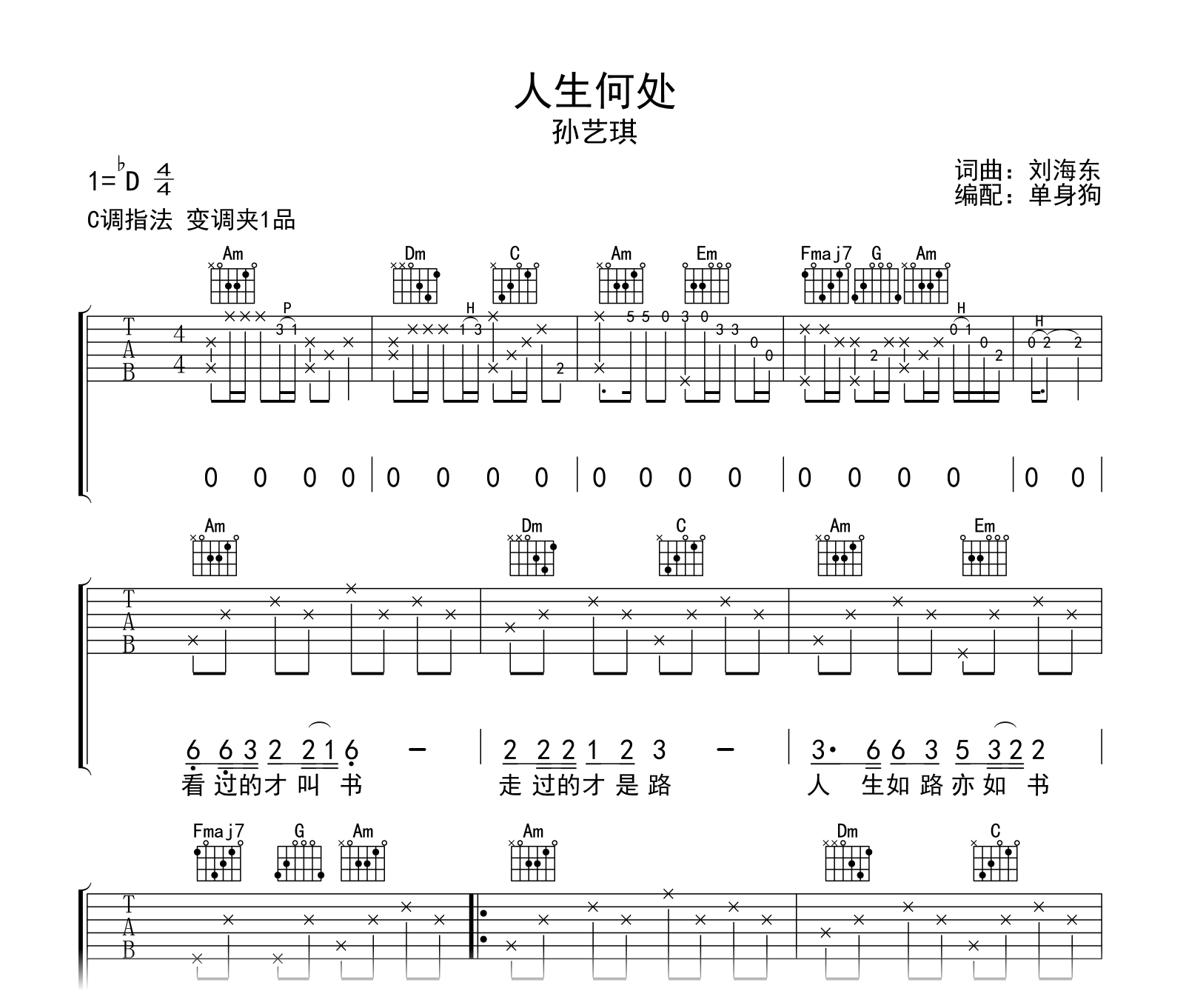 人生何处吉他谱-孙艺琪-C调-吉他帮