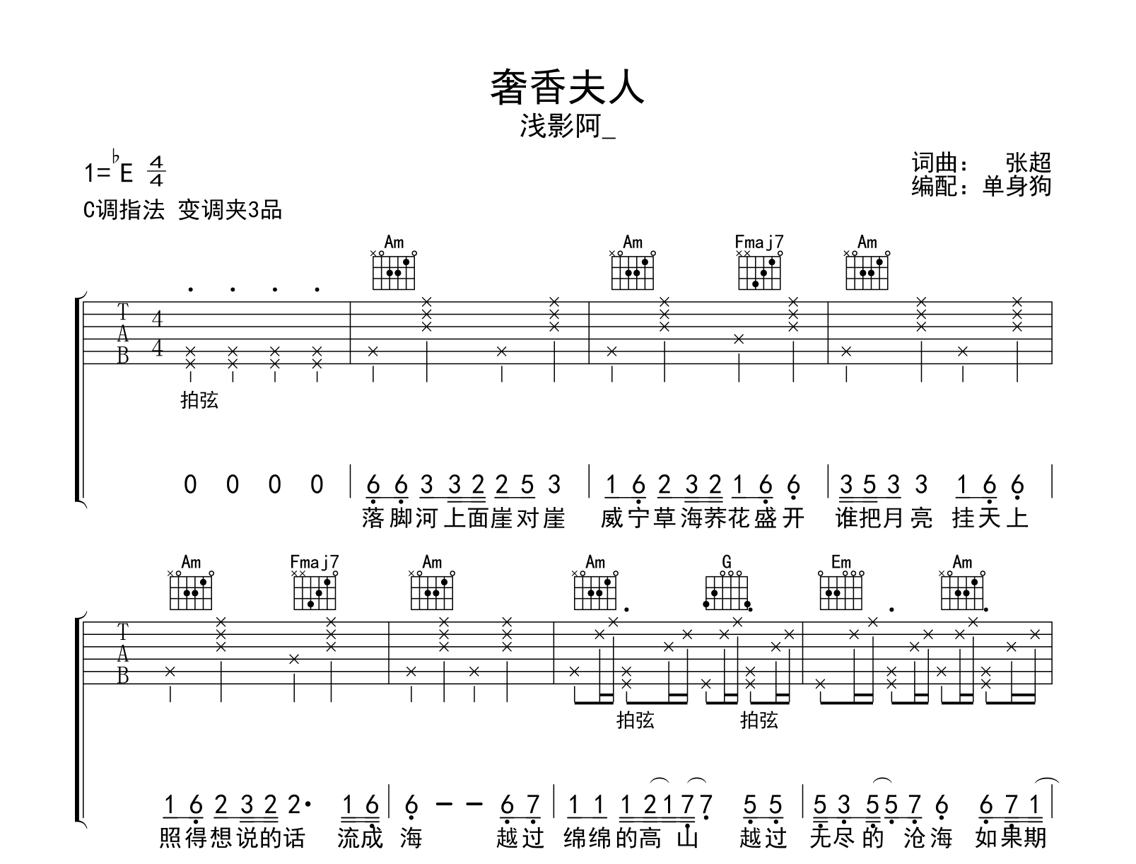 奢香夫人吉他谱-浅影阿-C调弹唱谱-吉他帮