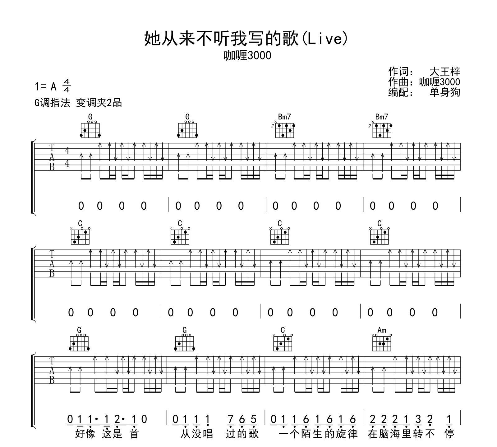 她从来不听我写的歌吉他谱-咖喱3000-G调弹唱谱