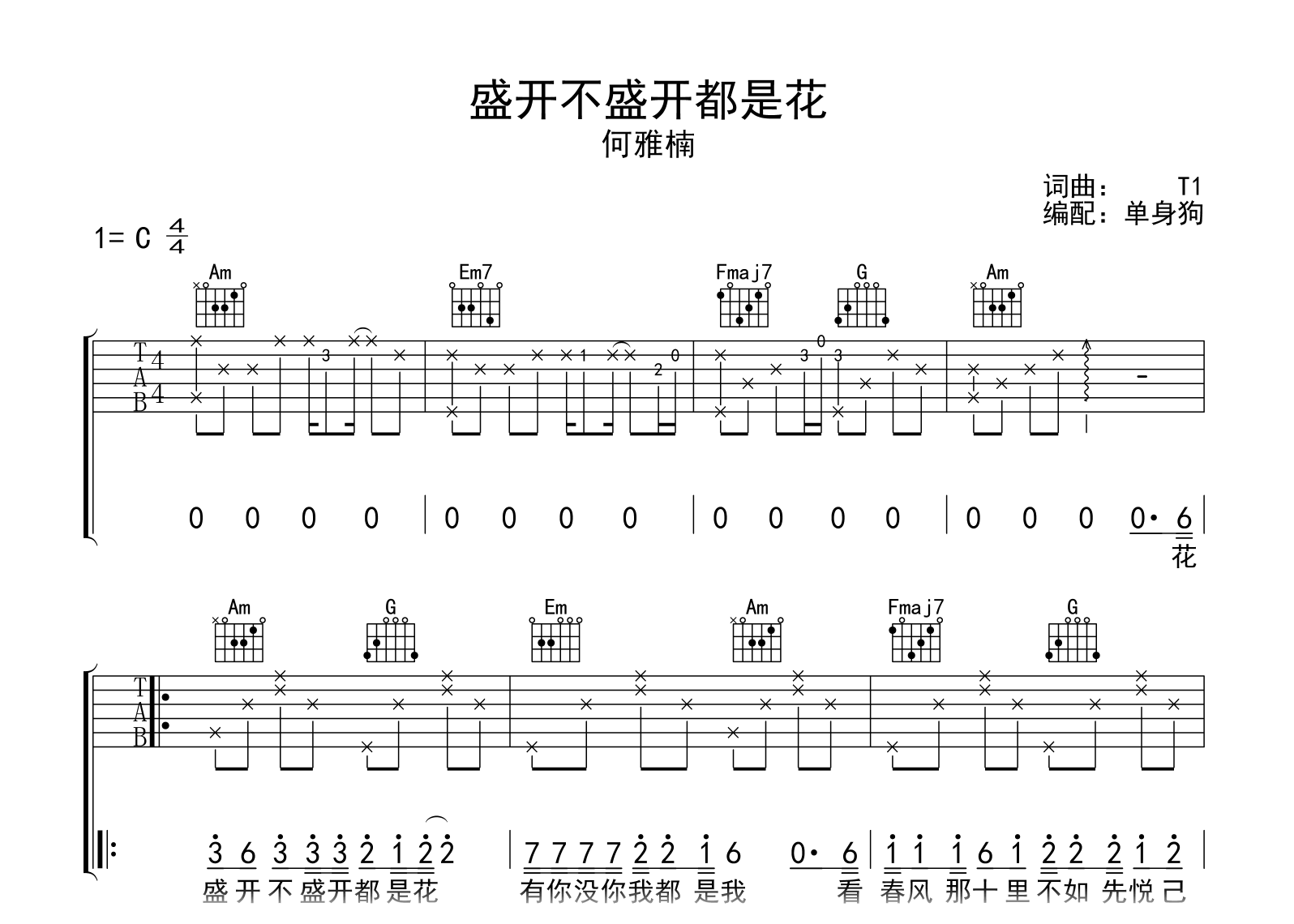 何雅楠《盛不盛开都是花》吉他谱-C调弹唱谱