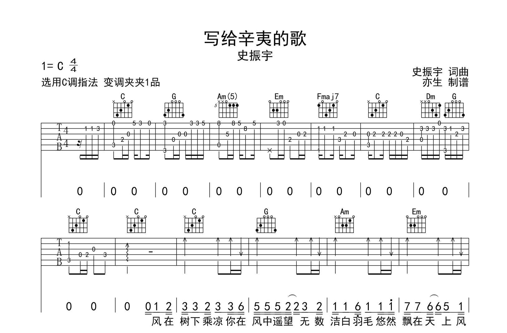 写给辛夷的歌吉他谱_史振宇_C调指法_吉他帮