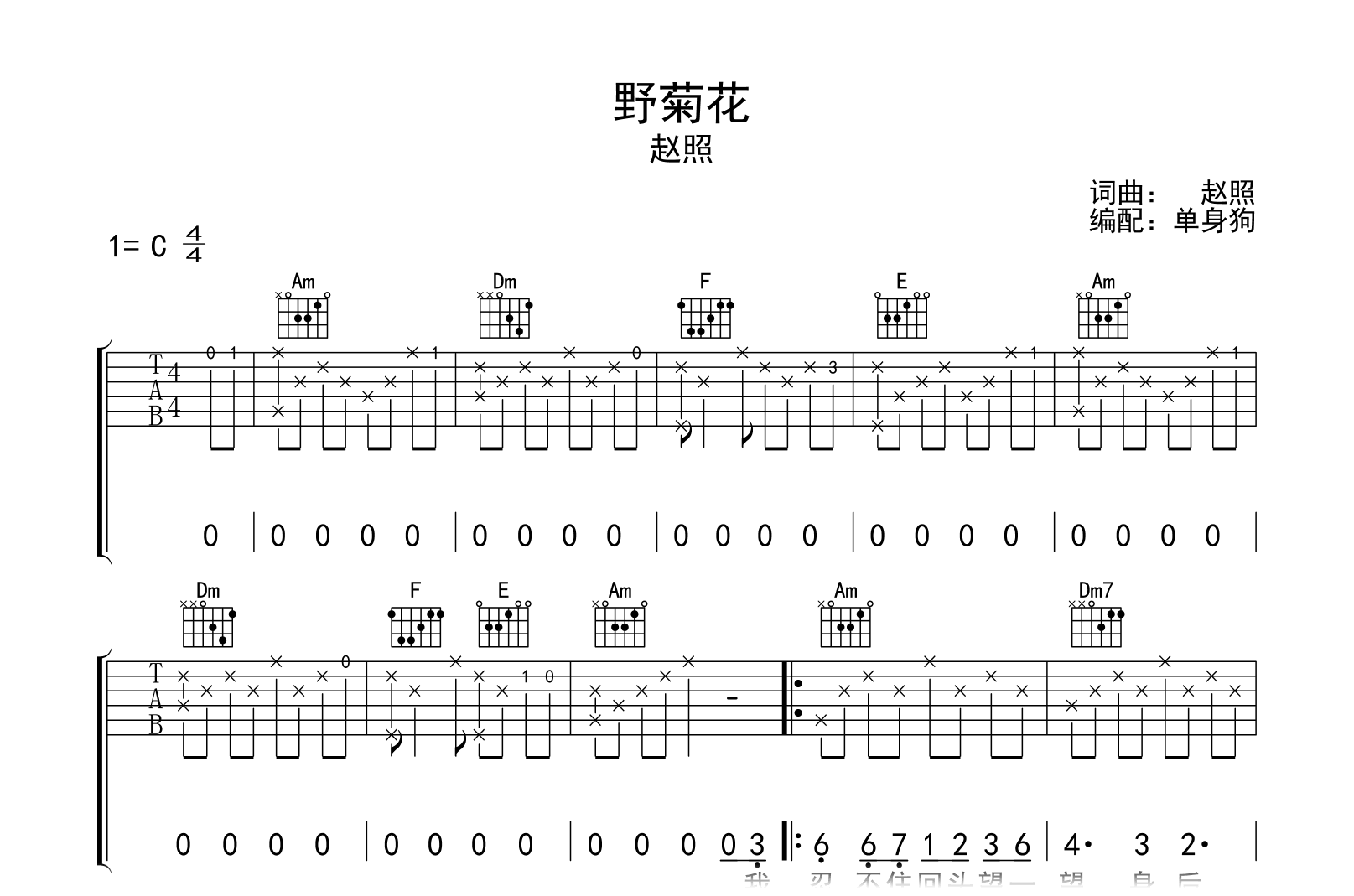 野菊花吉他谱-赵照-C调弹唱六线谱