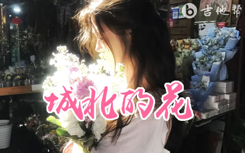 城北的花吉他谱_王宇宙Leto/乔浚丞_C调_完整版