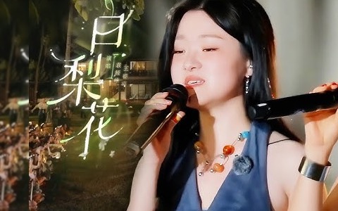 白梨花吉他谱_王睿卓_C调弹唱谱_六线谱完整版