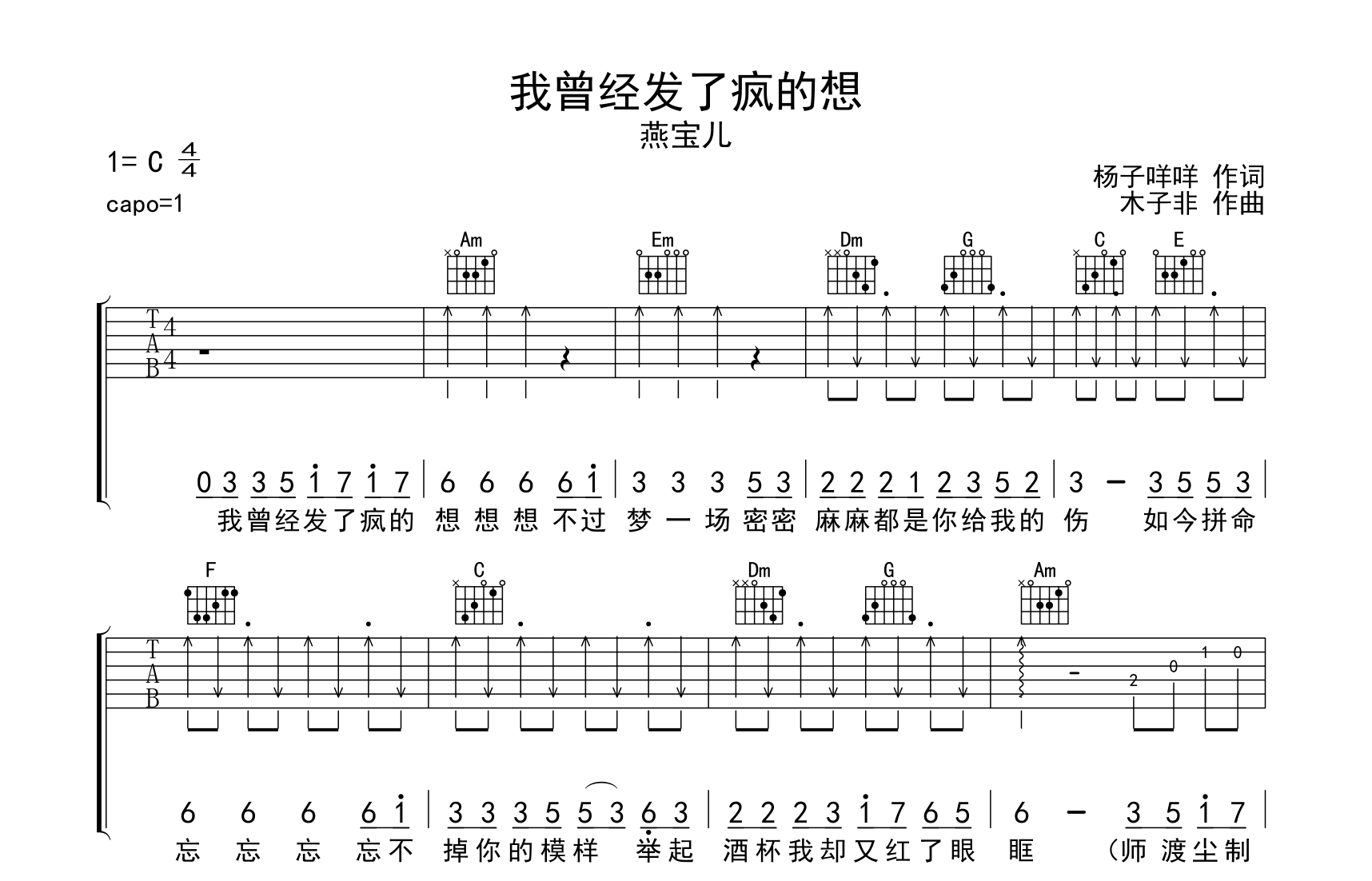 我曾经发了疯的想吉他谱_燕宝儿_弹唱教学视频