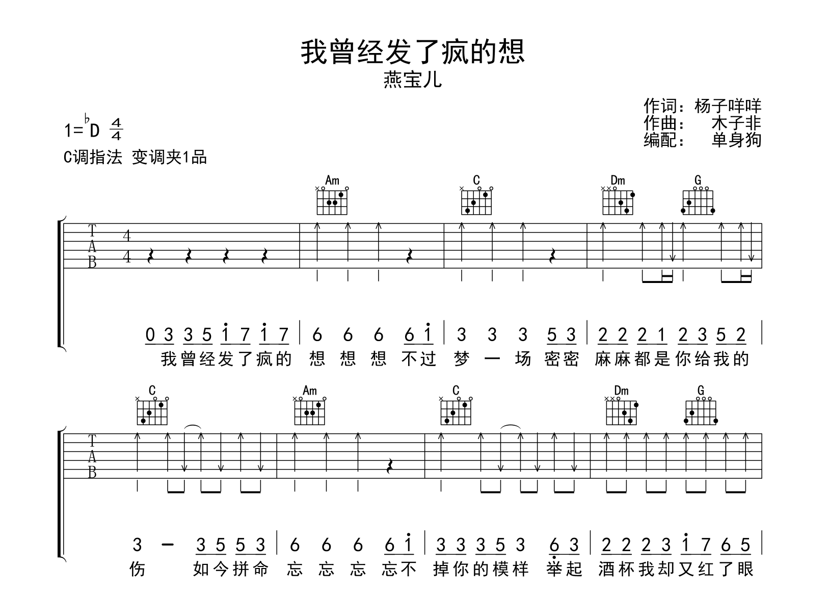 我曾经发了疯的想吉他谱_燕宝儿_C调弹唱谱_完整版