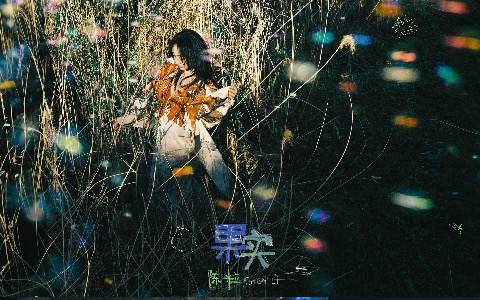 果实吉他谱_陈粒_C调弹唱谱_高清完整版