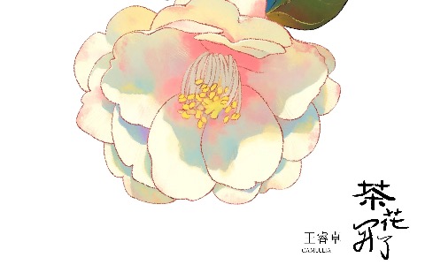 茶花开了吉他谱_王睿卓_G调简单版_高清完整版