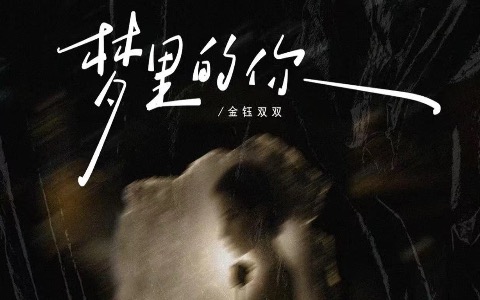 梦里的你吉他谱_金钰双双_C调弹唱六线谱