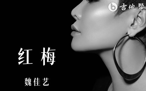 红梅吉他谱_魏佳艺_C调弹唱谱_完整版六线谱