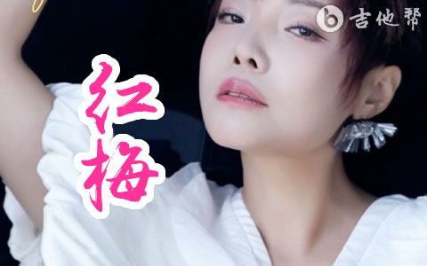 红梅吉他谱_魏佳艺_C调带前间尾奏_完整版