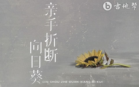 亲手折断向日葵吉他谱_玲安_C调弹唱谱_高清版