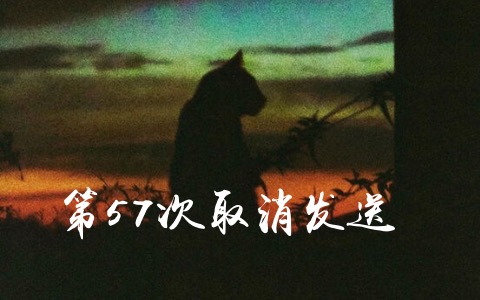 第57次取消发送吉他谱_菲菲公主_G调_弹唱六线谱