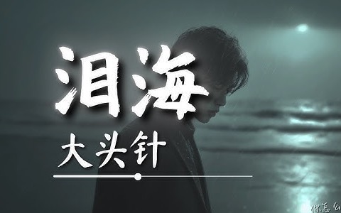 泪海吉他谱_大头针_C调弹唱谱_附示范音频