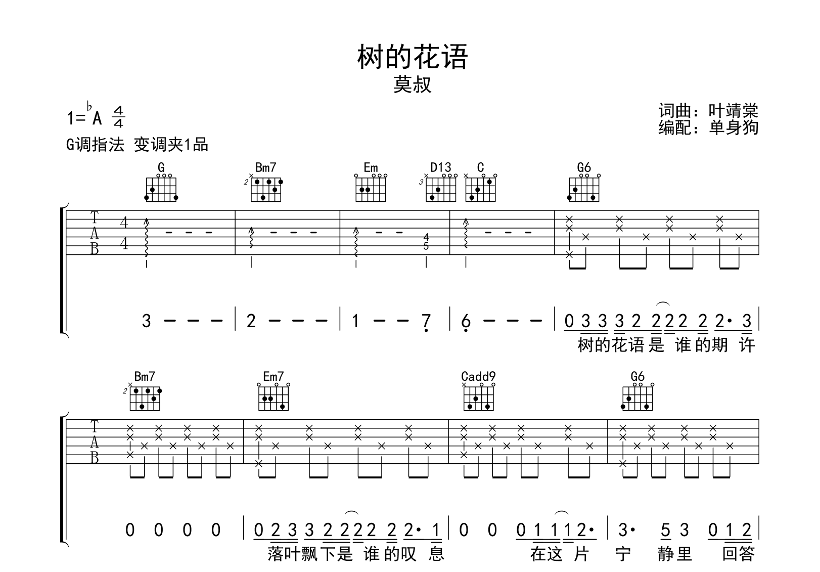 树的花语吉他谱_莫叔_G调弹唱谱_吉他帮